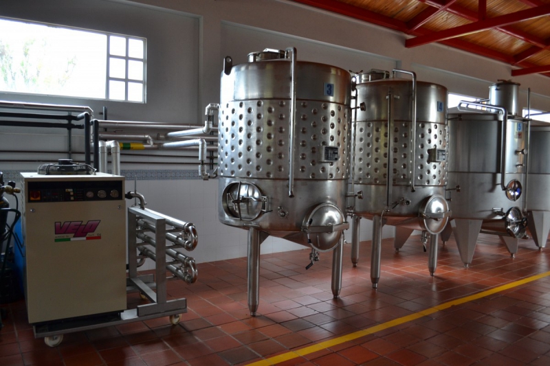 cave-PIERREFEU-min_wine_production_cantine_winery_drink_alcohol_vine_beverage-902036